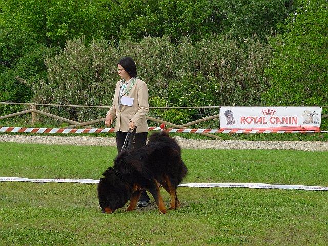 Immagine 033.jpg